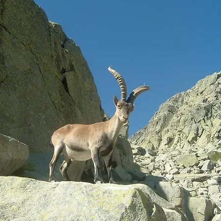 Tatil Evi Navazuelos Hoyos del Espino
