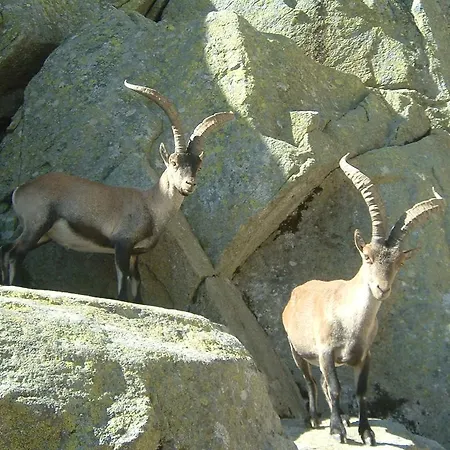 Tatil Evi Navazuelos