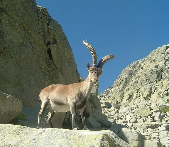 펜션 Navazuelos 요요스델에스피뇨